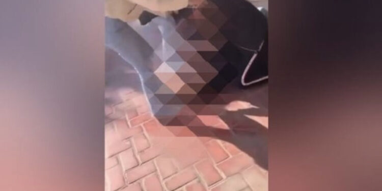 VIDEO SKANDALOZE/ Sherr mes vajzave në Tiranë, zihen me grushte e shkelma