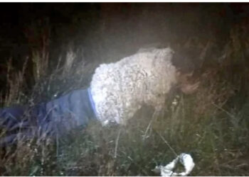 E PADËGJUAR! Burri maskohet si dele për t’u arratisur nga burgu