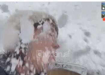 VIDEO/ Gazetarja flet nga mali i Korabit, i vjen papritur një top prej bore në fytyrë