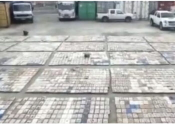 Kapen 8.8 ton kokainë me vlerë 330 milionë dollarë në Ekuador brenda kontejnerit me banane