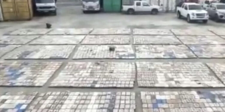 Kapen 8.8 ton kokainë me vlerë 330 milionë dollarë në Ekuador brenda kontejnerit me banane