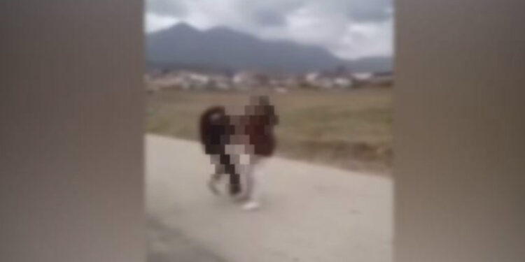 VIDEO/ 2 vajza rrih*n në KAMËZ, kapen për flokësh e godasin njëra-tjetrën!