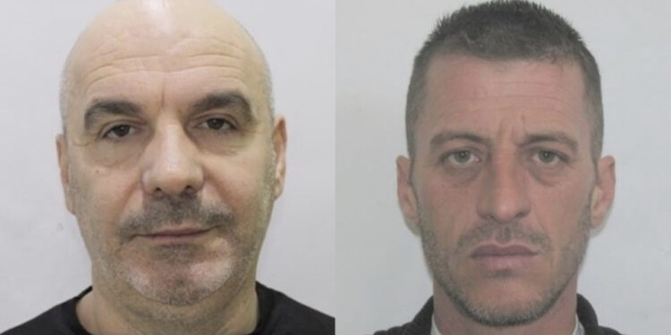 Një vëlla iu vra, tjetri në burg, kush është kunati i të fortit të Elbasanit që u arrestua?