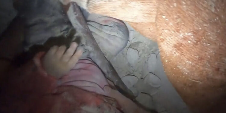 VIDEO-Vogëlushja nxirret nga rrënojat, e mbrojti përqafimi i motrës së vdekur