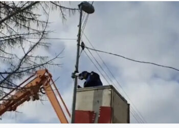 VIDEO/ Jo vetëm në Shkodër/ “Fijet” priten edhe në Dibër dhe Lezhë, disa persona nën hetim!