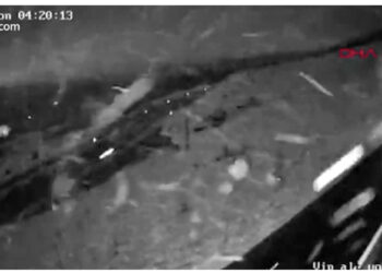 VIDEO/ Dalin pamje të reja nga tërmeti, si u “zhyt” qyteti turk papritmas në errësirë