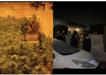 VIDEO/ Si u kap ish-ushtaraku shqiptar dhe partnerja e tij në një ‘shtëpie bari’ në Spanjë