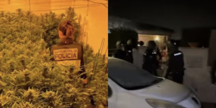 VIDEO/ Si u kap ish-ushtaraku shqiptar dhe partnerja e tij në një ‘shtëpie bari’ në Spanjë