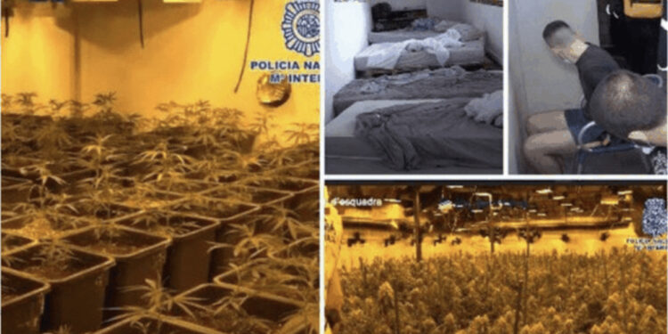 ‘Organizatat kriminale janë…’/ Spanja: Bandat shqiptare ‘mbretër’ të trafikut të drogës!