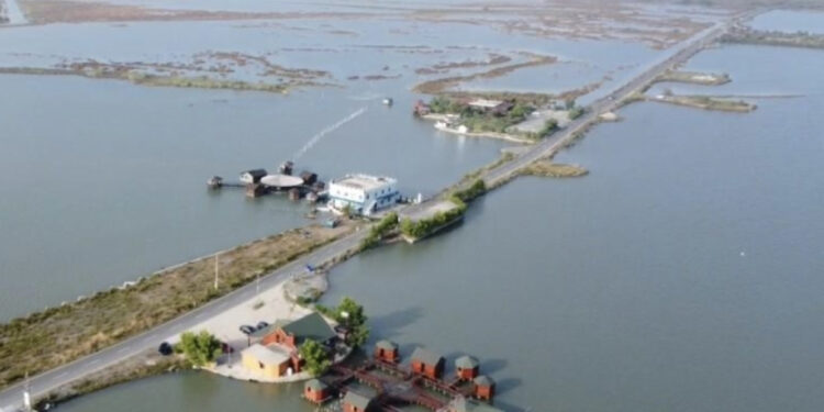 Të shtëna me armë zjarri te “Laguna e Patokut”, raportohet për të plagosur
