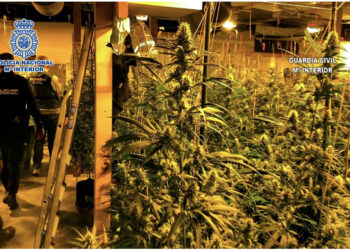 “Operacioni Bulqiza” / Shkatërrohet grupi kriminal i shqiptarëve me “shtëpi bari” në Spanjë, 9 të arrestuar