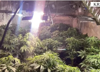 VIDEO/ Kthyen tunelin e ushtrisë në ‘shtëpi bari’, arrestohen 5 persona në Krujë, dy prej tyre punonjës të OSHEE