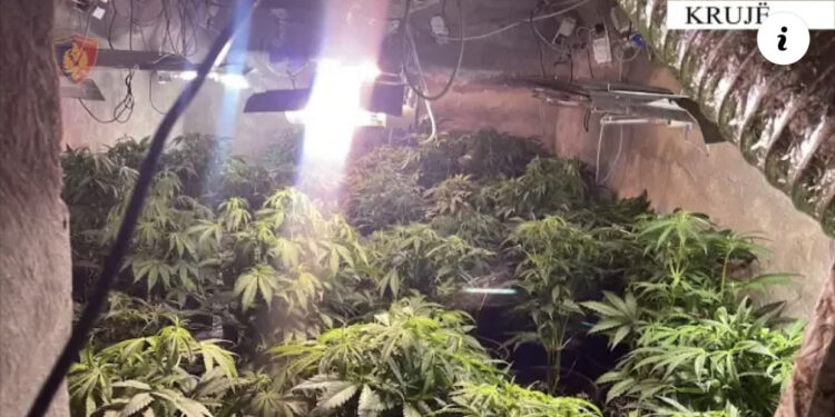 VIDEO/ Kthyen tunelin e ushtrisë në ‘shtëpi bari’, arrestohen 5 persona në Krujë, dy prej tyre punonjës të OSHEE