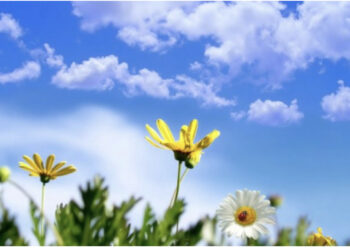 Diell dhe rritje temperaturash, ja si do të jetë moti sot