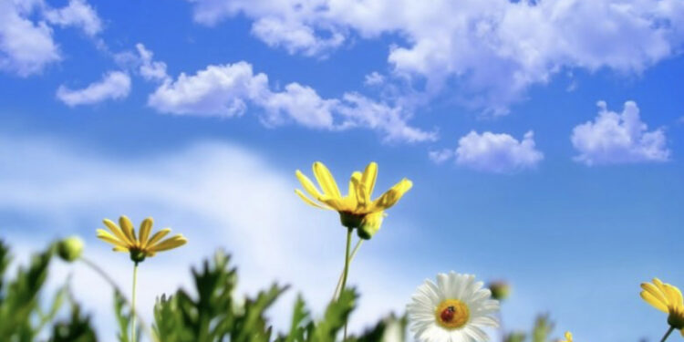 Diell dhe rritje temperaturash, ja si do të jetë moti sot