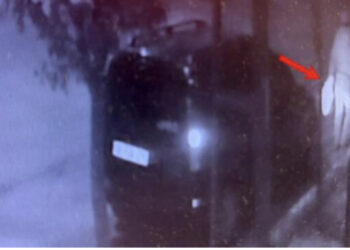 VIDEO/ Horror para xhamisë në Turqi, dy burra tentojnë të varrosin foshnjën e porsalindur poshtë një peme