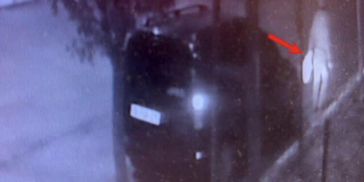 VIDEO/ Horror para xhamisë në Turqi, dy burra tentojnë të varrosin foshnjën e porsalindur poshtë një peme