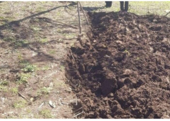 Po punon tokën, shpërthen një granatë në Librazhd