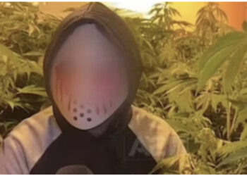 “DailyMail” s’i ndahet shqiptarëve: Përfshihen në përplasje të përgjakshme dhe…