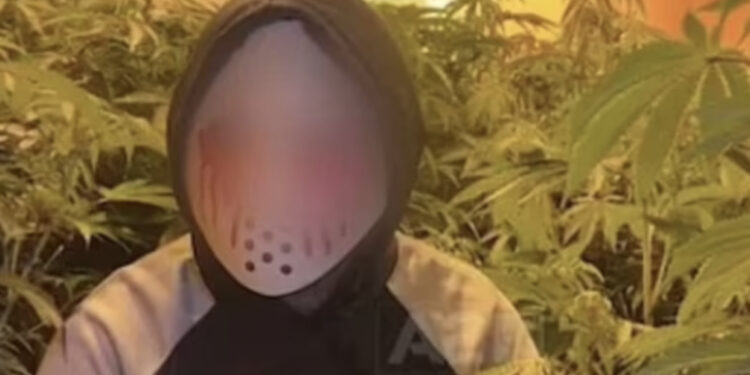 “DailyMail” s’i ndahet shqiptarëve: Përfshihen në përplasje të përgjakshme dhe…