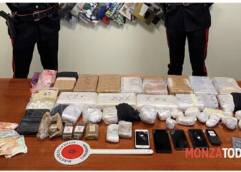 Çantat plot me kokainë! Shqiptari nis të arratiset, por kapet në bordin e avionit