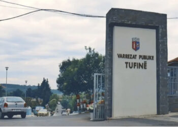 FOTO/ Vëllai i deputetit të PS-së “kullufit” tenderin 700 milionë lekë