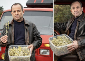 FOTO/ 53-vjeçari shqiptar arrestohet në Angli, u kap me çaj mali me vete