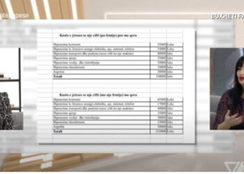 Vështirësitë e kostos së jetesës në Tiranë/ Pedagogia: Ja sa i duhen një çifti në muaj