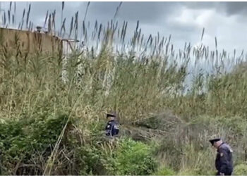 FOTO/ Policia nëpër ferra! Çfarë e lidh Vlorën me sulmin me armë kundër Top Channel?