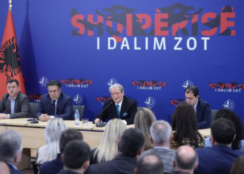 Dy skemat, si do futet Berisha në zgjedhje?