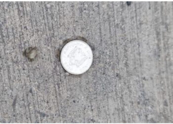 Vrasja e rojës së “Top Channel”, Karamuço nxjerr fotografinë e 5 lekëshit në tokë: E vetmja monedhë që ra nga xhepi i të ndjerit!