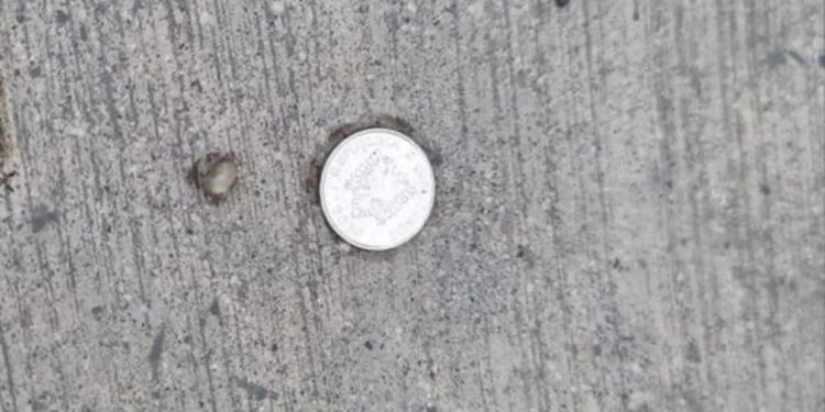 Vrasja e rojës së “Top Channel”, Karamuço nxjerr fotografinë e 5 lekëshit në tokë: E vetmja monedhë që ra nga xhepi i të ndjerit!