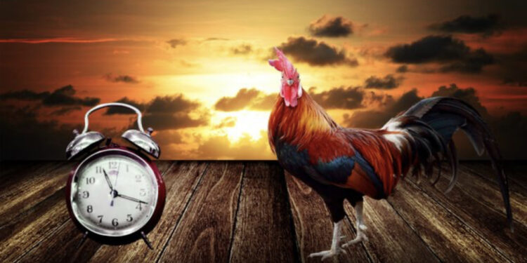 Të dielën akrepat shkojnë 60 minuta para, si lindi ideja e ndryshimit të orës