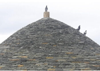 Rama mesazh besimtarëve bektashinj për Sulltan Nevruzin: Uroj që pranvera të çelë në zemrat tuaja