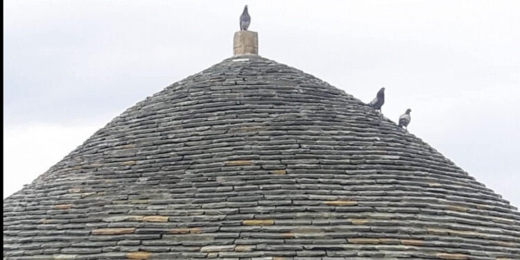 Rama mesazh besimtarëve bektashinj për Sulltan Nevruzin: Uroj që pranvera të çelë në zemrat tuaja