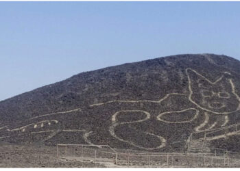 FOTO/ Arkeologët zbulojnë gravurën 2,000 vjeçare të maces në faqen e kodrës