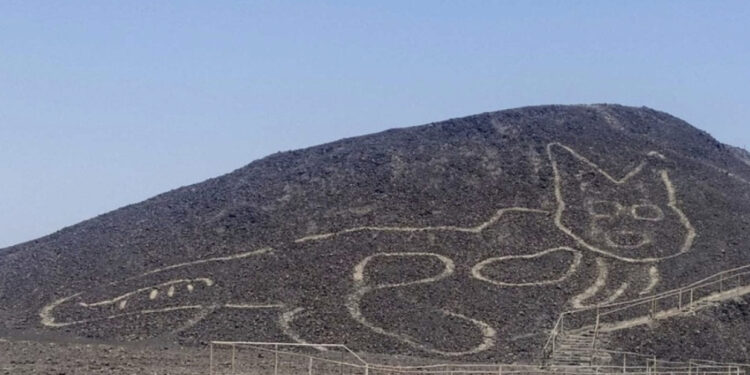 FOTO/ Arkeologët zbulojnë gravurën 2,000 vjeçare të maces në faqen e kodrës