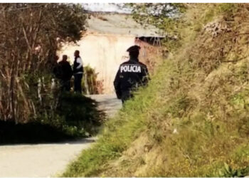 EMRI/ Identifikon autori i plagosjes në Lushnje, polica rrethon zonën