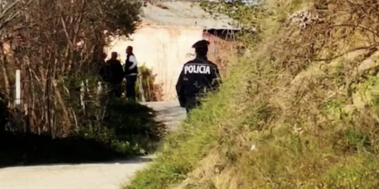 EMRI/ Identifikon autori i plagosjes në Lushnje, polica rrethon zonën