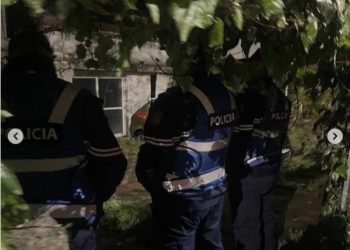 “O gjyshi mos dil!”/ I moshuari nxirret nga shtëpia, dëshmitarët: Ishin me targa angleze