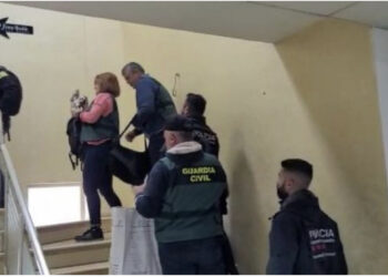 U vodhën 50 mln euro në 3 muaj/ Zbardhet skema si Call Center-at shqiptarë mashtronin spanjollët, qytetarja denoncon rastin