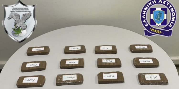 Me 8.5 kg heroinë me vete, arrestohet shqiptarja në Selanik