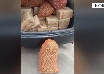 Kontrabandë mallrash, tre të arrestuar në Korçë, mes tyre edhe një doganier
