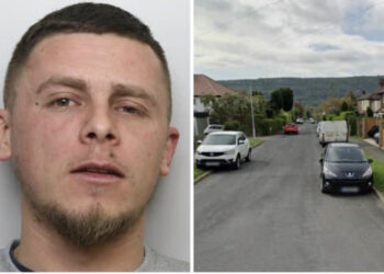 23-vjeçari shqiptar kapet duke vjedhur në Britani: U kam 25 mijë paund borxh trafikantëve