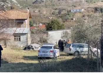 62-vjeçari në Kotë në Vlorë i turret me vrap të moshuarës me sëpatë dhe thikë për ta vrarë