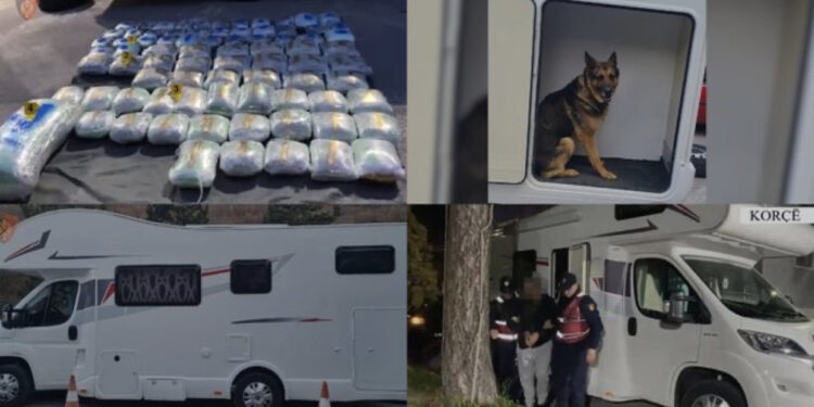 VIDEO/ Qeni zbuloi 118 kg drogë brenda rulotit, trafikantët u hoqën si biznesmenë. Detajet nga aksioni në Kapshticë