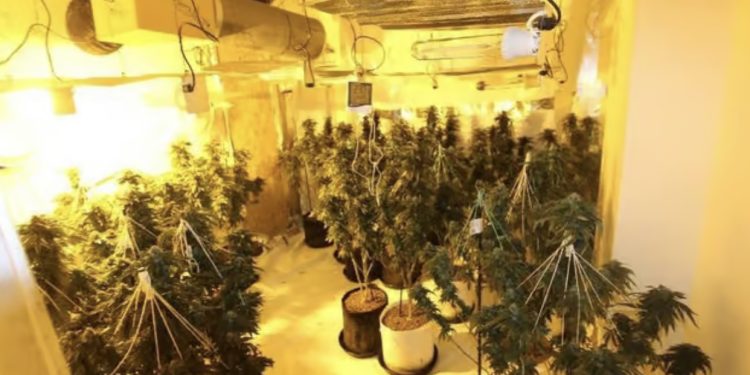 EMRI/Kapet brenda “shtëpisë së barit” në Angli, arrestohet 35 vjeçari shqiptar