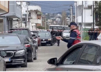 VIDEO/ Sapo zbriti gruan dhe fëmijët! Si shpëtoi për “fije floku” miku i “Rrumit”?