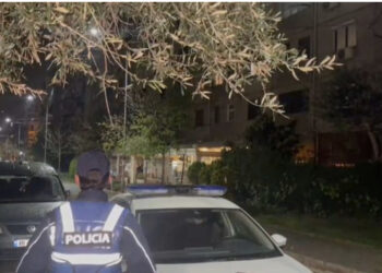 Si nisi sherri? Pse Elton Mergjyshi qëlloi me thikë 64-vjeçarin, vajzën e dhëndrin italian!