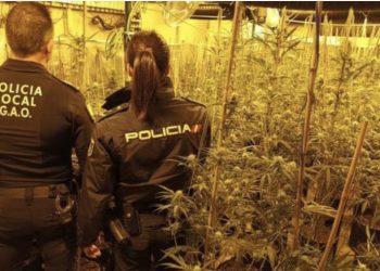 1 milion euro mall/ Goditet banda e drogës në Spanjë, drejtohej nga shqiptarët